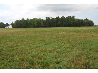 Pond in Dekalb County, Indiana - MAJOR LAND AUCTION - 516+/- ACRES OFFERED IN 18 TRACTS OR COMBINATIONS IN DEKALB COUNTY, INDIANA